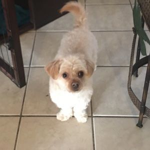 Meet your Posher, Leonor